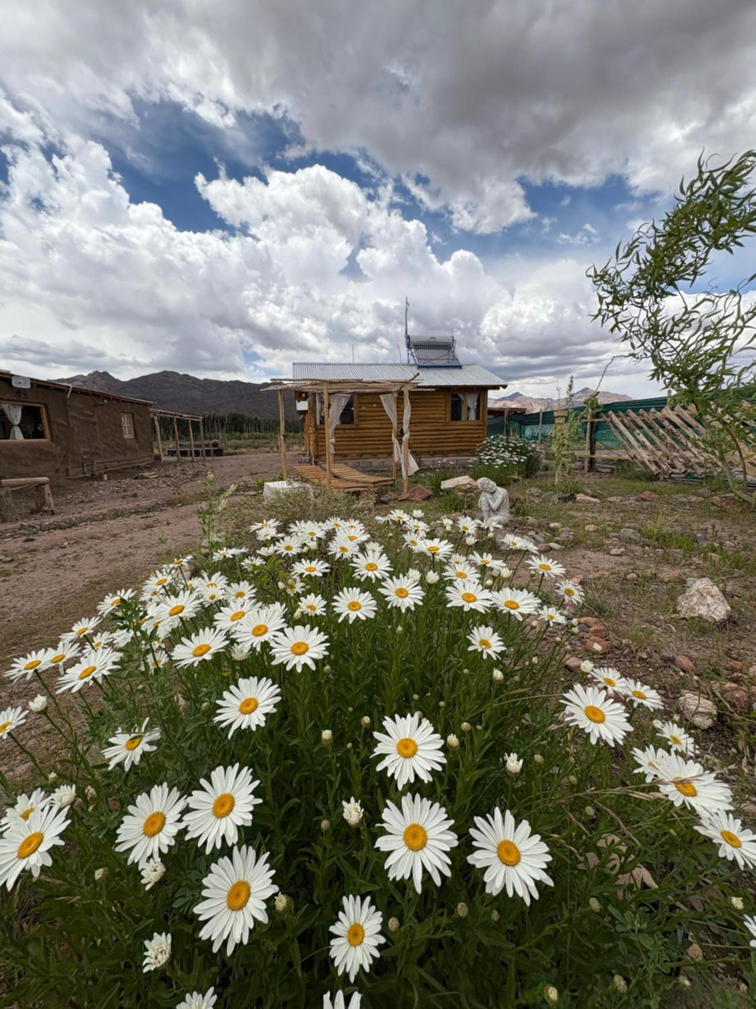 Paramitas Cabanas De Montana Uspallata Exterior foto