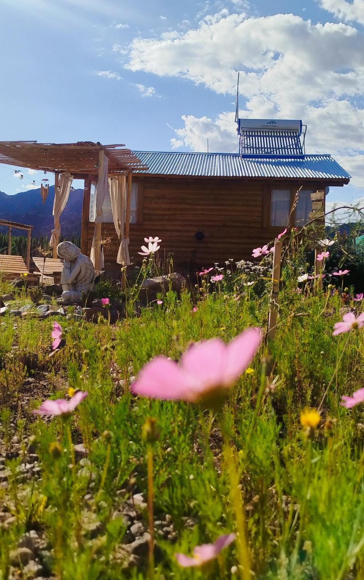 Paramitas Cabanas De Montana Uspallata Exterior foto